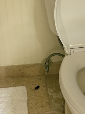 The Inn At Mama's Fish House by null