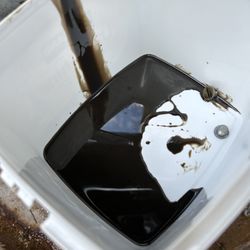 Sportsman's Outfitter & Marine - Oil drained after lower unit froze