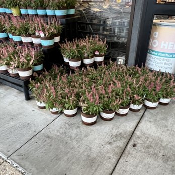 Kroger - Flowers - Grocery Near Me - Lynchburg, Virginia