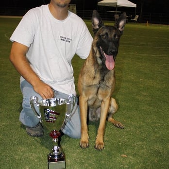 Prestige K9 - Spencer Wallace - Pet Training Near Me