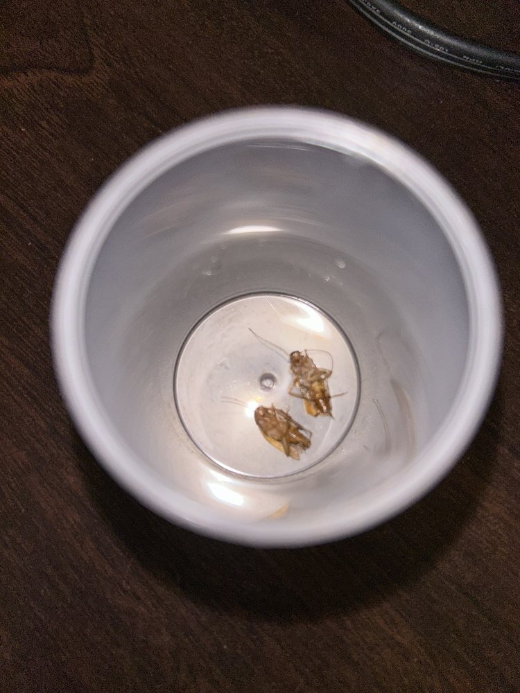 RED ROOF PLUS Updated October 2024 27 Photos & 64 Reviews 9