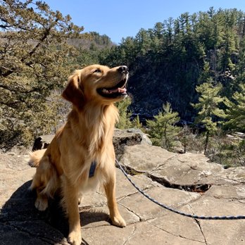 Interstate State Park - The park is dog-friendly as long as they're kept on a leash. Many spots open up to scenic overlooks into the St. Croix River valley. - Hiking Near Me - St. Croix Falls, Wisconsin Interstate State Park - The park is dog-friendly as long as they're kept on a leash. Many spots open up to scenic overlooks into the St. Croix River valley. - Hiking Near Me - St. Croix Falls, Wisconsin