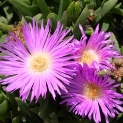 Hill Wildlife Reserve