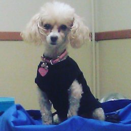 My princess before she got her wings My princess before she got her wings