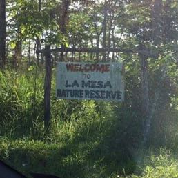 Welcome! Welcome!