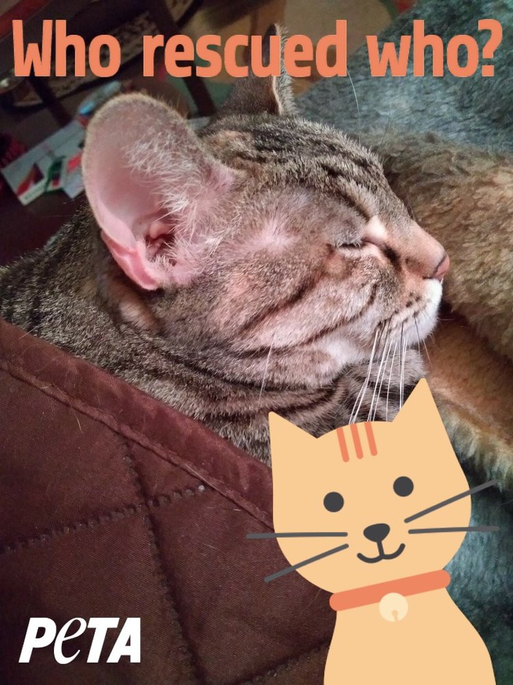 HAYMAKERS Updated September 2024 15 Reviews 202 Devonshire Dr