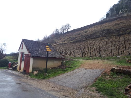 Domaine Jean-François Ganevat by null