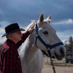 Rising Stars of Equestrian Therapy