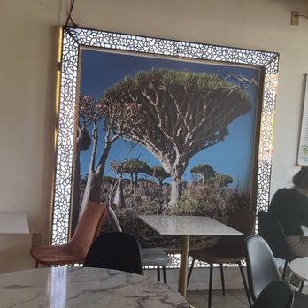 Socotra Coffee House - Coffee & Tea Near Me - Ann Arbor, Michigan