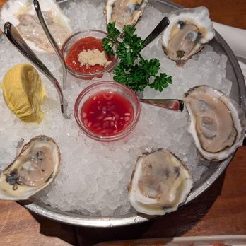 Hudson House - Yummy yummy - Bars Near Me - Frisco, Texas Hudson House - Yummy yummy - Bars Near Me - Frisco, Texas