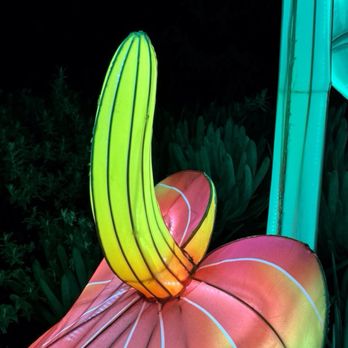 Glowfari - Zoos Near Me - Oakland, California