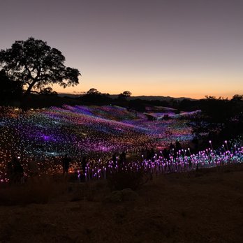 Sensorio - Art Galleries Near Me - Paso Robles, California Sensorio - Art Galleries Near Me - Paso Robles, California