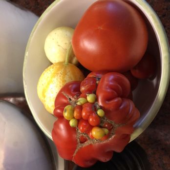 Worker Bee Farm - Heirloom tomatoes. - Farms Near Me - Freestone, California