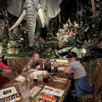 Rainforest Cafe - Table - American Near Me - Grapevine, Texas Rainforest Cafe - Table - American Near Me - Grapevine, Texas