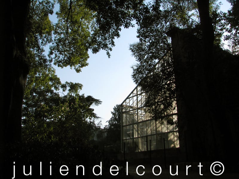 Jardins des Plantes
