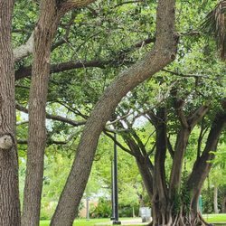 Military Trail Park