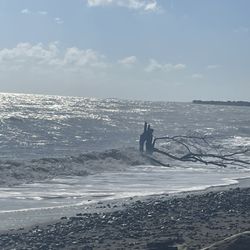 Playa Bizaretta