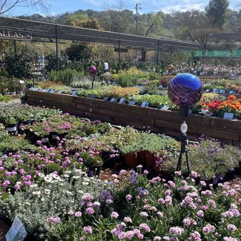 Orchard Nursery - Nurseries & Gardening Near Me - Lafayette, California Orchard Nursery - Nurseries & Gardening Near Me - Lafayette, California