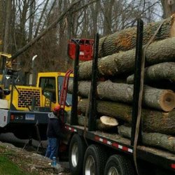 Redwood Tree Company