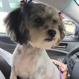 Our darling Khloe no longer looking crazy.