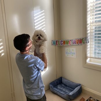 Patty's Pups - Pet Services Near Me - Gurnee, Illinois Patty's Pups - Pet Services Near Me - Gurnee, Illinois