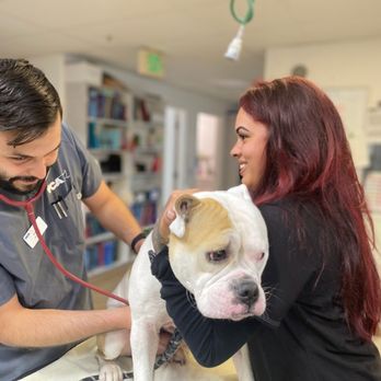 VCA All Pets Animal Hospital Salinas - Veterinarians Near Me - Salinas, California VCA All Pets Animal Hospital Salinas - Veterinarians Near Me - Salinas, California