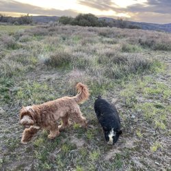 Wild Horizon Farm - Nacho and Winston