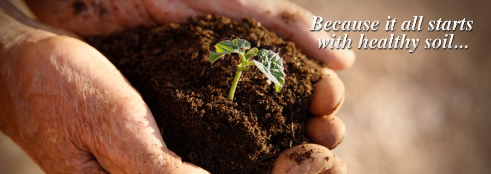 Orglawn - tree service in Richmond, TX