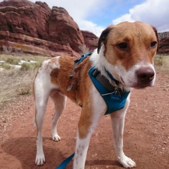 Red Rocks Amphitheatre - Gaucho loves Trading Post Trail - Music Venues Near Me - Morrison, Colorado Red Rocks Amphitheatre - Gaucho loves Trading Post Trail - Music Venues Near Me - Morrison, Colorado