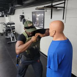 Sheepwolf Combative Combat Systems