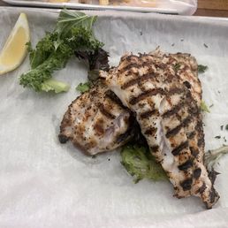 Red Grouper
