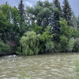 The view from the restaurants outdoor seating - A river with brownish water flows in the foreground, bordered by green shrubs. The background consists of a dense forest with various trees, including tall conifers and a large, leafy tree with drooping branches. The sky above is cloudy, with patches of blue visible through the clouds.