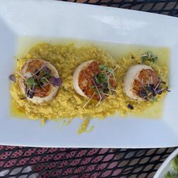 Snug Harbor - The scallops on special