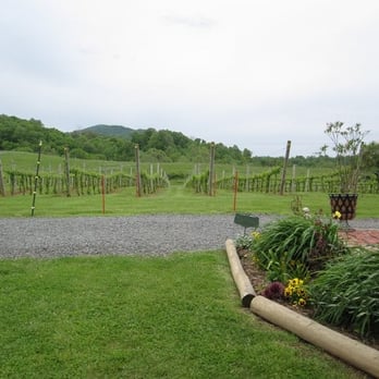 Three Fox Vineyards & Brewery - Wineries Near Me - Delaplane, Virginia
