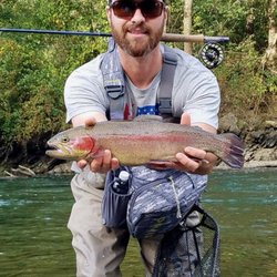 Appalachian Fly and Yak