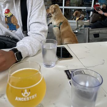 Ancestry Brewing - Dog friendly - Breweries Near Me - Tualatin, Oregon Ancestry Brewing - Dog friendly - Breweries Near Me - Tualatin, Oregon