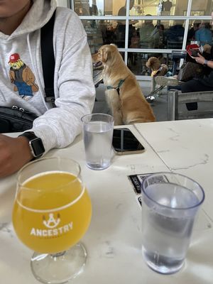 Ancestry Brewing by null