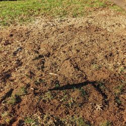 Sharptop Tree Service - After the tree removal - no stump and very level.