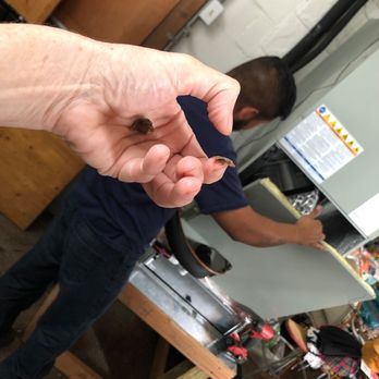 LEX - Paper that Lex Air guy swore wasn't paper, but "gunk" that came out of my 8 month old AC's line. - Heating & Air Conditioning/HVAC Near Me - Plano, Texas