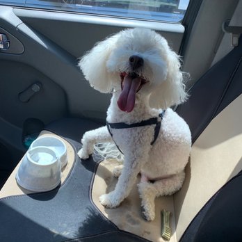 Wishbone Pet Care - Pet Groomers Near Me - Missouri City, Texas