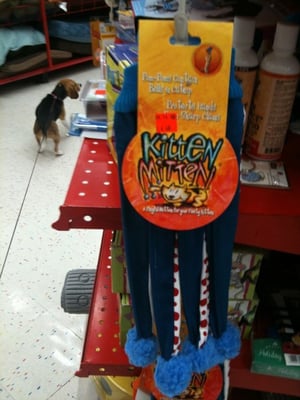 Mac's Tavern by null