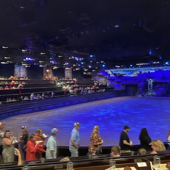Dolly Parton's Stampede - Fun atmosphere and very organized! - Performing Arts Near Me - Branson, Missouri Dolly Parton's Stampede - Fun atmosphere and very organized! - Performing Arts Near Me - Branson, Missouri