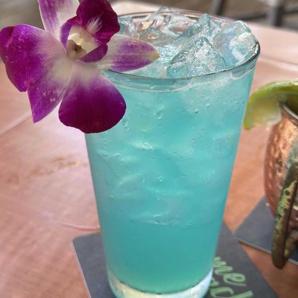 Beach House - Beach house cooler - Bars Near Me - Pompano Beach, Florida Beach House - Beach house cooler - Bars Near Me - Pompano Beach, Florida