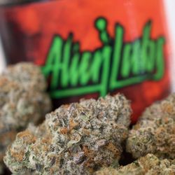 Craft - Alien Labs