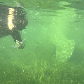 Fun 2 Dive Manatee Tours - Snorkeling Near Me - Crystal River, Florida