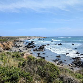 Elephant Seal Vista Point - Beaches Near Me - San Simeon, California Elephant Seal Vista Point - Beaches Near Me - San Simeon, California