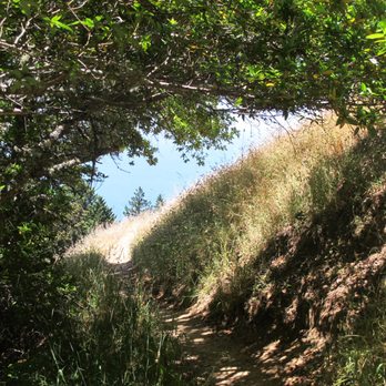Matt Davis Trail - Parks Near Me - Stinson Beach, California Matt Davis Trail - Parks Near Me - Stinson Beach, California