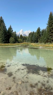 Schwabacher Landing by null