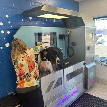 Express Pet Wash - Our big customer Arrow. - Pet Groomers Near Me - Decatur, Alabama Express Pet Wash - Our big customer Arrow. - Pet Groomers Near Me - Decatur, Alabama