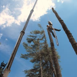 Happy Trees - When I was kid I dreamed to be an astronaut. Getting there. Crane tree removal South Shore dr, Pelham NH.